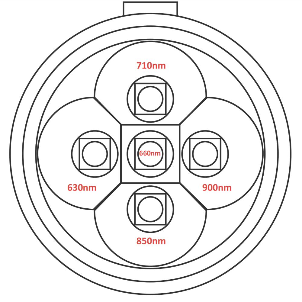 Red light therapy torch LED layout showing 630nm, 660nm, 710nm, 850nm and 900nm wavelengths.