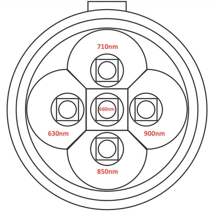 Red light therapy torch LED layout showing 630nm, 660nm, 710nm, 850nm and 900nm wavelengths.